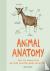 Corrigan, Sophie - Animal Anatomy