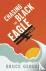 Chasing the Black Eagle