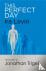 This Perfect Day - Introduc...