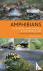 Amphibians of Europe, North...