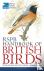RSPB Handbook of British Birds
