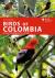 Pfister, Otto - Birds of Colombia