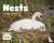 Gaffney, Kelly - Nests