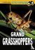 Grand Grasshoppers