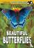 Beautiful Butterflies