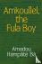 Amkoullel, the Fula Boy