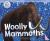 Ice Age Animals: Woolly Mam...