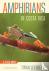 Amphibians of Costa Rica - ...