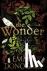 Donoghue, Emma - The Wonder