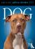 Dog Page-A-Day Gallery Cale...