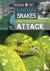 Predator vs Prey: How Snake...
