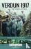 Verdun 1917 - The French Hi...