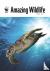 WWF Amazing Wildlife Deluxe...