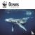 WWF Oceans Square Wall Cale...