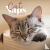  - Cat Naps Mini Calendar 2024