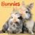  - Bunnies Mini Calendar 2024