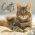  - Cats Wiro Wall Calendar 2024