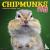 Chipmunks (Gone Nuts!) 2024...