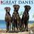 Just Great Danes 2024 12 X ...