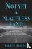 Not Yet a Placeless Land - ...