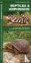 Reptiles  Amphibians - A Fo...