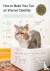 How to Make Your Cat an Int...