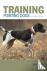 Training Pointing Dogs - Al...
