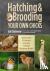 Hatching  Brooding Your Own...