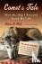 Comet's Tale - How the Dog ...