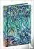 Vincent van Gogh Irises Min...