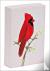 Red Cardinal Playing Cards