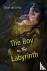 BOY IN THE LABYRINTH