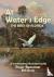 At Water's Edge - The Birds...