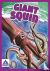 Giants of the Sea: Giant Squid