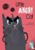 Little Angry Cat