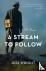 A Stream to Follow - A Novel