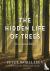 The Hidden Life of Trees - ...