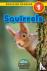 Squirrels - Animals That Ma...