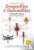 A Guide To The Dragonflies ...