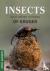 Insects and other Critters ...
