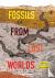 Fossils from Lost Worlds