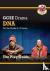 GCSE Drama Play Guide – DNA