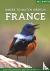 Where to Watch Birds in France
