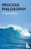 Process Philosophy - A Synt...