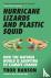 Hurricane Lizards and Plast...