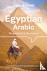 Lonely Planet Egyptian Arab...