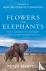 Flowers for Elephants - How...