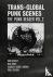 Trans-Global Punk Scenes - ...