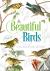 Beautiful Birds Colouring Book