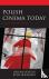 Polish Cinema Today - A Bol...